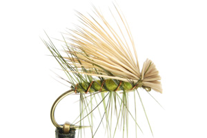 Elk Hair Caddis Olive GC