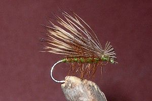 Caddis - Elk Hair Olive