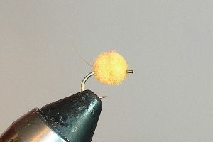 Flashtail Fl. Orange