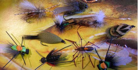 Fly Sale