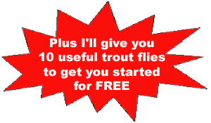 Free Flies