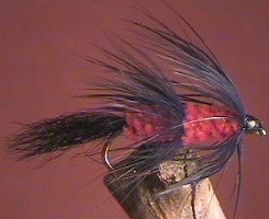 Fuzzy Wuzzy Red