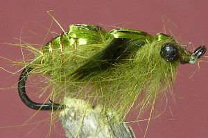 Dragon Fly Nymph - Olive
