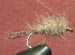 Hare & Copper (Hairy) GC