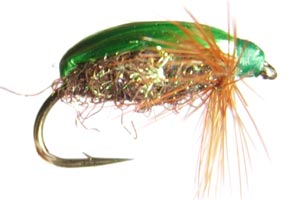 Glister Green Beetle - GC