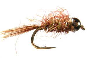 Glister Nymph Black TB - GC