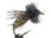 Graphic Caddis