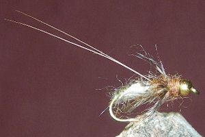 Caddis Gold Bead