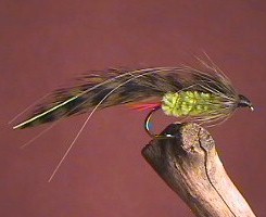 Orbit Lime