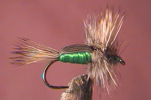 Humpy Green