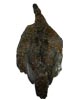 Grouse Complete Skin