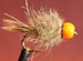 Hare & Copper Fluoro Orange