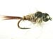 Hares Ear Black Tungsten - GC