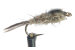 Hares Ear