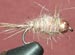 Hare & Copper (Hairy) Copper Tungsten GC