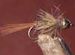 Hares Ear Shaggy Gold Tungsten