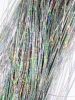 Holographic Fly Fibre