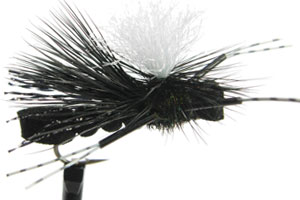 Swishers Foam PMX - Black