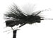 Swishers Foam PMX - Black