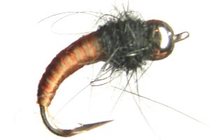 Horn Caddis Black Tungsten - GC