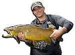 Trophy Trout fishing with Miles Rushmer Guiding - Bay of Plenty