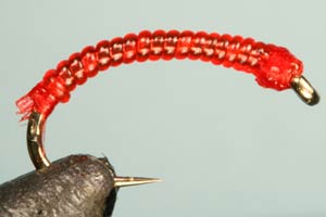 Jelly Bloodworm