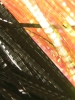 Lateral Scale