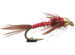 Lightning Bug Red