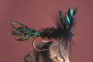 Loves Lure