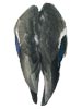 Mallard Wings Veniard