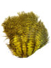 Marabou Patch
