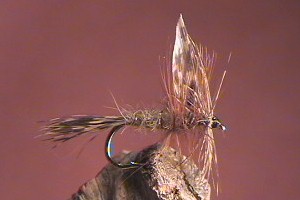 March Brown