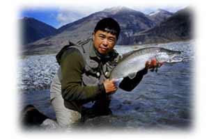 Fly Fishing from Methven