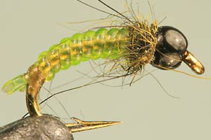 Green Micro Jelly Caddis TB