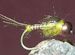 Micro Mayfly CB Olive