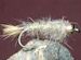 Gold Ribbed Hares Ear GT