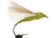 CDC Caddis Emerger Olive - GC