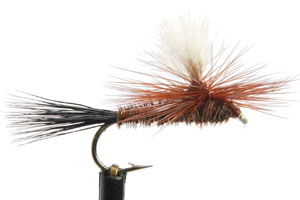 Para-Wulff Pheasant Tail