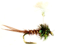 Parasol Emerger