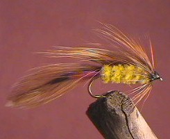 Parsons Glory Yellow