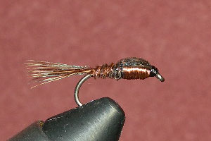 Pheasant Tail (Copper) GC