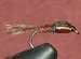 Pheasant Tail (Copper) GC