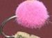 Glo Bugs Pink/Flame Orange dot