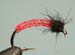 Pink Jelly Caddis