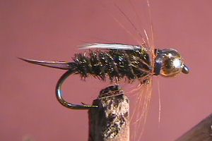 Prince Nymph - (Gold BH)