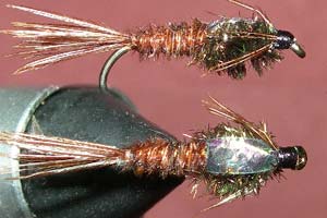 Pheasant Tail Flashback - GC