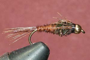 Pheasant Tail GBH - GC