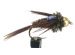 Pheasant Tail Flashback Gold BH Bargin