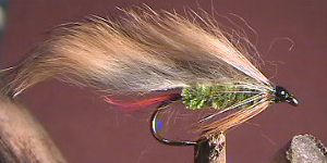 Rabbit Fly Green