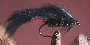 Rabbit Fly Black